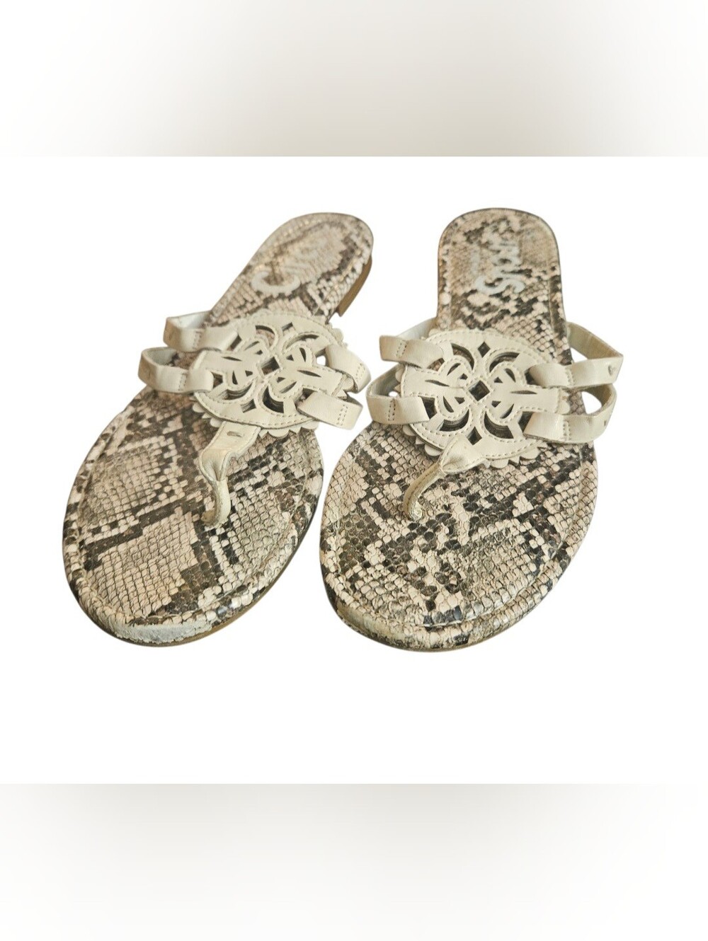Circus by Sam Edelaman Canyon Thong Sandals Women 10
